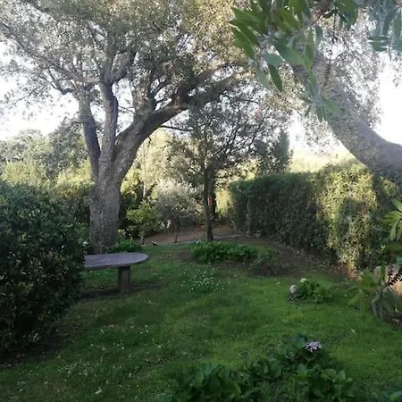 Villa Ampia Villa Tranquilla Con Posto Barca Privato